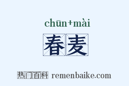 春麦是什么意思的图片